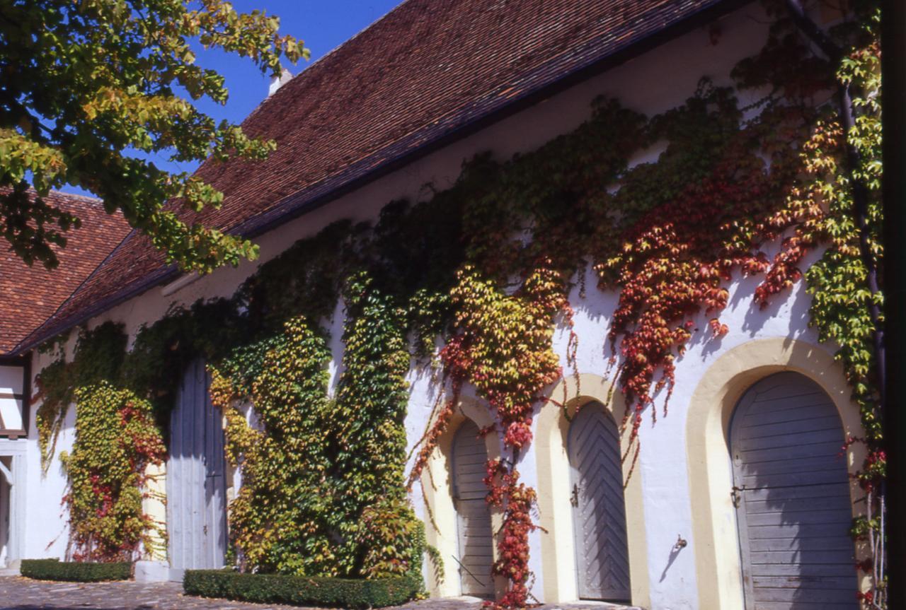 Markgraeflich Badischer Gasthof Schwanen Salem  Extérieur photo