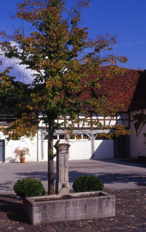 Markgraeflich Badischer Gasthof Schwanen Salem  Extérieur photo
